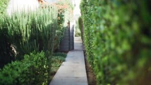 Manutenzione Giardini