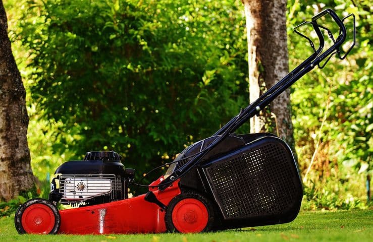 Manutenzione giardini a chi spetta