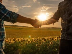 Due persone si stringono la mano in un campo di girasoli al tramonto, simbolo di una consulenza agronomica