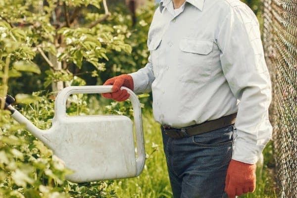 Servizio di irrigazione giardini a Roma