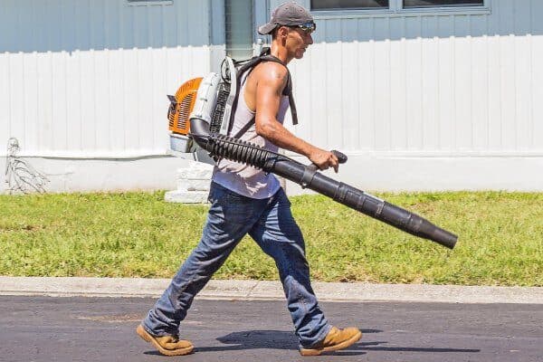 Servizio di Pulizia del giardino con rimozione erbacce e foglie secche.