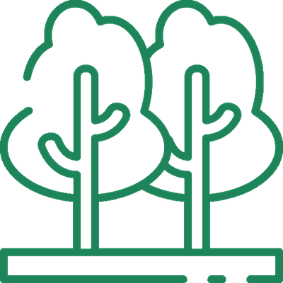 Collegamento al servizio Potatura alberi alto fusto