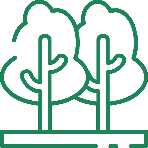 Collegamento al servizio Potatura alberi alto fusto