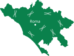 Zone coperte dal servizio di Potature a Roma