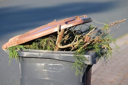 come smaltire gli scarti del verde come smaltire gli scarti del verde